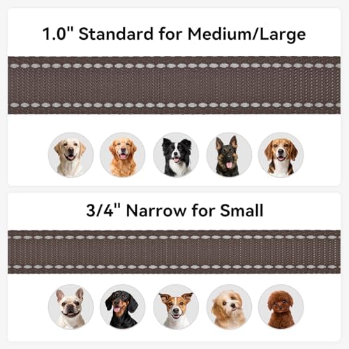 Joytale Reflective Dog Leash for Medium & Large Dogs, 5 FT x 1", Brown