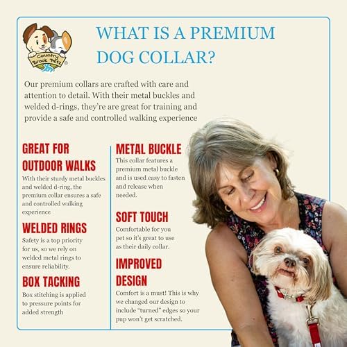 Country Brook Petz - Premium Nylon Dog Collar with Metal Buckle for Small Medium Large Breeds - 30+ Colors (Large, 1 Inch, Red)