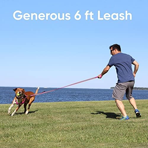 Pawtitas Camo Pink Dog Leash 6 ft Custom ID Lead for Dogs & Puppies Reflective Comfortable Padded Handle Embroidered Name & Phone Number
