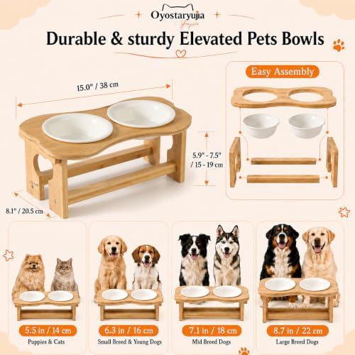 Bone Elevated 6.1" Ceramic Small Dog Bowls, Tilted Dog Bowl Stand