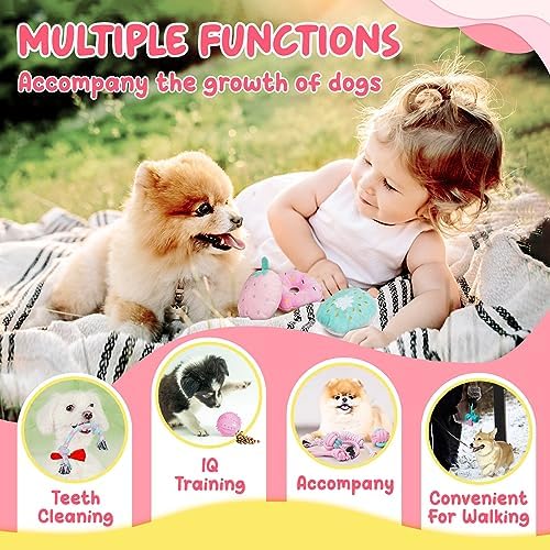 XIUGOAL Pink Puppy Toys for Boredom - 23 Pack Puppy Chew Toys for Teething, Interactive Dog Toys for Puppies, Cute Small Dog Toys with Treat Ball, Squeaky Dog Chew Toys and Ropes