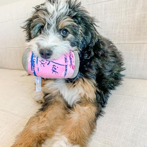 Haute Diggity Dog LickCroix Barkling Water Plush Dog Toy, Drink Parody Toy