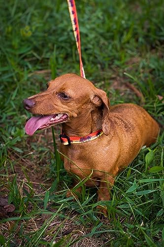 Country Brook Petz - Caribbean Sunset Everyday Dog Leash - Summer Breeze Collection Featuring Sunny Designs (4 Foot, 1 Inch Wide)