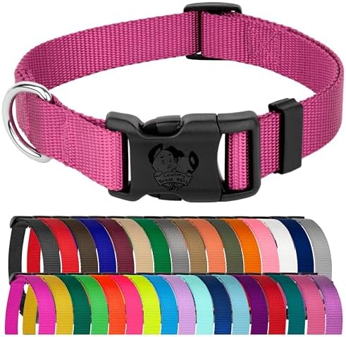 Country Brook Petz - Everyday Nylon Dog Collar for Large, Medium, and Small Dogs and Puppies - for Everyday Use in 30+ Colors (2XS, 3/8 Inch Wide, Rose)