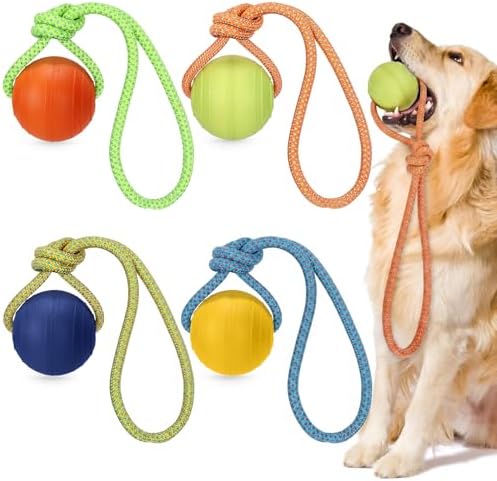 Skylety 4 Pack Floating Dog Toy with Rope Handle