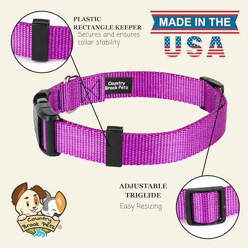 Country Brook Petz - Everyday Nylon Dog Collar for Large, Medium, and Small Dogs and Puppies - for Everyday Use in 30+ Colors (Extra Large, 1 Inch Wide, Bright Purple)