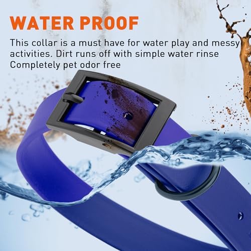 Dogline Biothane Waterproof Dog Collar Strong Coated Nylon Webbing with Black Hardware Odor- Proof for Easy Care Easy to Clean High Performance Fits Small Medium or Large Dogs, Blueberry Royal