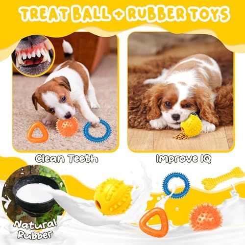 Zeaxuie 23 Pack Luxury Puppy Toys for Teething Small Dogs, Puppy Chew Toys with Rubber Toy, Rope and Squeaky Toys