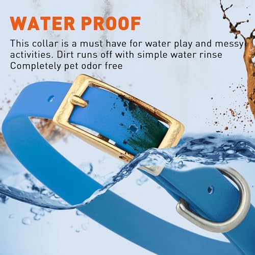 Viper Biothane Heavy Duty Waterproof Dog Collar Strong Coated Nylon Webbing w/Solid Brass Hardware Odor-Proof Easy to Clean High Performance Fits Small Medium or Large Dogs, Cerulean Blue