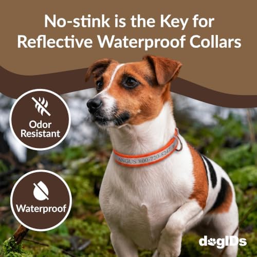 dogIDs Personalized Reflective Waterproof Dog Collar - Custom, Durable, Adjustable, Odor Resistant, Safe, Engraved - Orange, 1 in x 20 in (Fits Neck Sizes: 18-22 in)