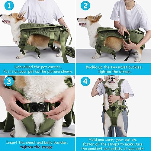 PetBonus Dog Front Carrier Backpacks, Legs Out Easy-fit Puppy Chest Carrier