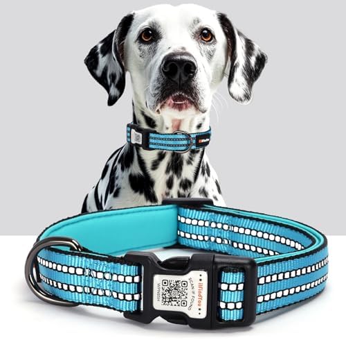 Personalized Dog Collar with QR Code Dog Tag, Light Blue L