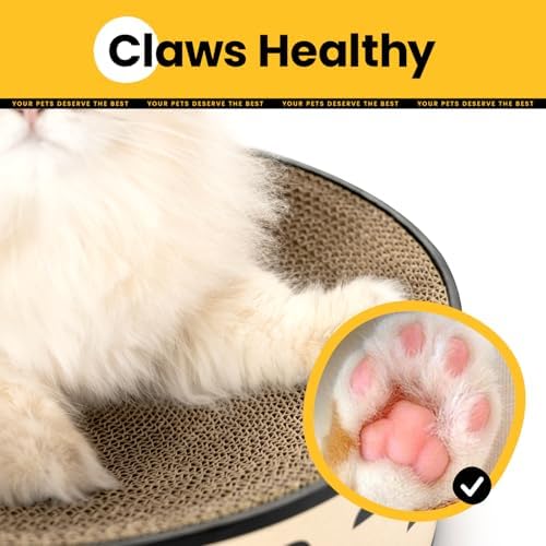 Conlun Oval Cat Scratcher Bed | Scratching Bowl Lounge for Kittens | Medium