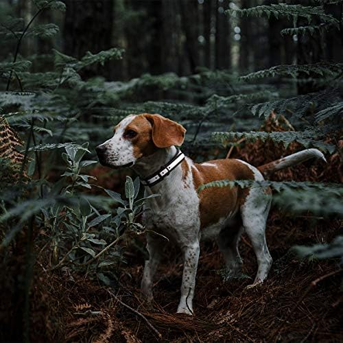 Dogline Biothane Translucent Reflective Waterproof Dog Collar Strong Coated Nylon Webbing with Black Hardware Odor- Proof for Easy Care Clean Fits Small Medium or Large Dogs - Yellow 3/4"W x 15"-18" L