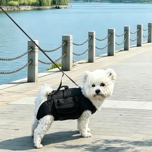 YAODHAOD Hands Free Dog Backpack Carrier for Small Dogs, Breathable Pet Carrier with Adjustable Straps,Portable Shoulder Carrier Sling Backpack for Hiking, Camping, Walking, Short Trips (Black,S)