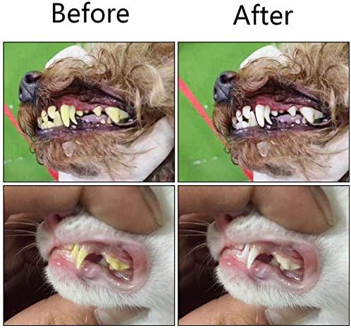Orgrimmar 2 Pcs 3-Sided Pet Toothbrush Dog Cat Mouth Dental Teeth Care
