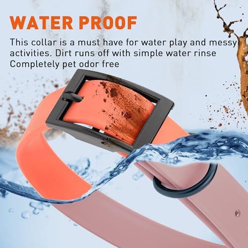 Dogline Biothane Waterproof Dog Collar Strong Coated Nylon Webbing with Black Hardware Odor- Proof for Easy Care Easy to Clean High Performance Fits Small Medium or Large Dogs, Coral