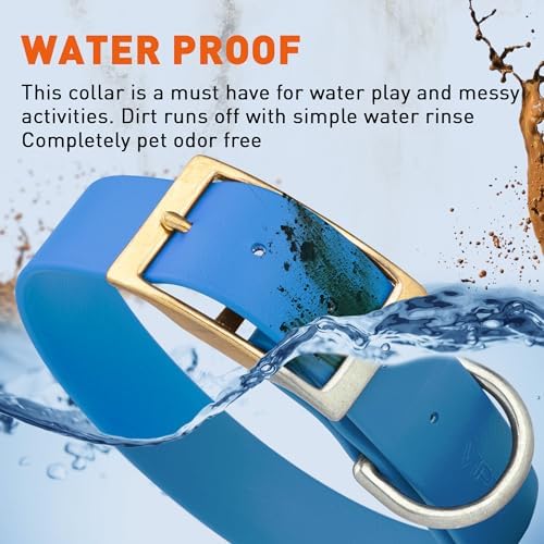Viper Biothane Heavy Duty Waterproof Dog Collar Strong Coated Nylon Webbing w/Solid Brass Hardware Odor-Proof Easy to Clean High Performance Fits Small Medium or Large Dogs, Cerulean Blue
