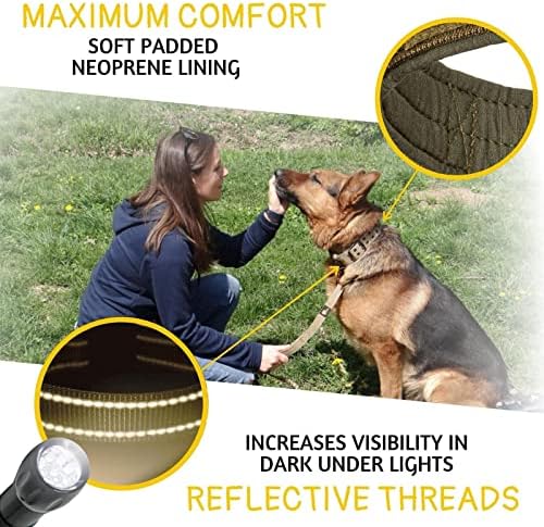 ADITYNA Heavy Duty Green Dog Collar for Large Dogs with Traffic Handle