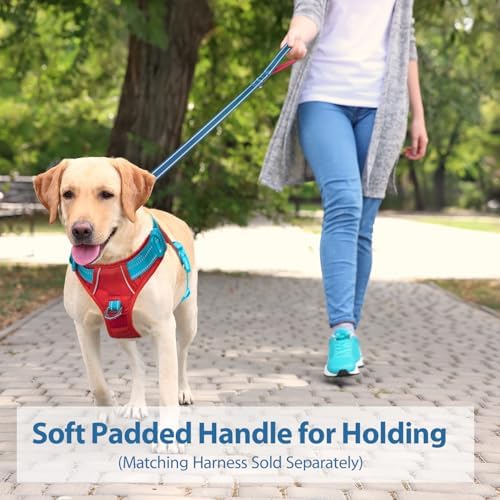 PHOEPET 5 Feet Dog Leash with Comfortable Padded Handle Easy Snap Clasp