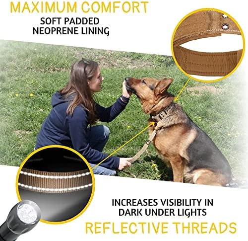 ADITYNA Heavy Duty Dog Collar for Medium Dogs with Traffic Handle
