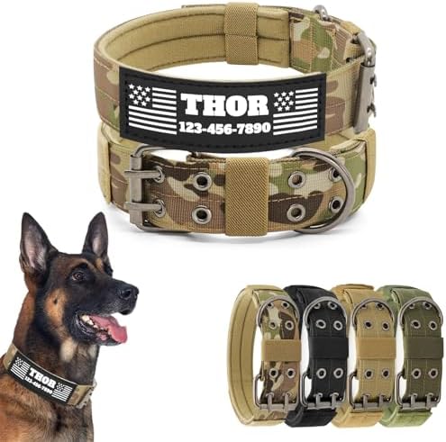 Tactical Dog Collar with Name Patches, Desert Camo: L