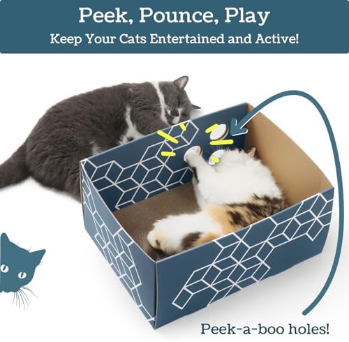 No-Mess Cardboard Cat Scratcher Box - Refillable Double-Sided Scratch Pad