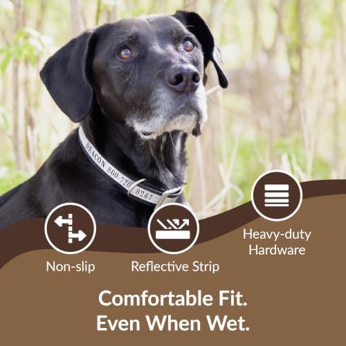 dogIDs Personalized Reflective Waterproof Dog Collar - Custom, Durable, Adjustable, Odor Resistant, Safe, Engraved - Black, 1 in x 22 in (Fits Neck Sizes: 20-24 in)