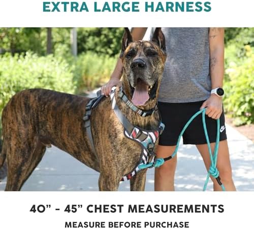 Embark No Pull Dog Harness, Reflective Adjustable Training Vest, No Choke