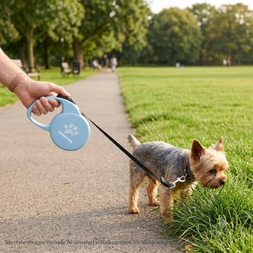 Retractable Dog Leash (Small), 10ft Heavy Duty Nylon Tape for Dogs up to 33 lbs, One-Hand Brake & Lock, Tangle-Free, Compact Lightweight Design, Blue S GC-DAN