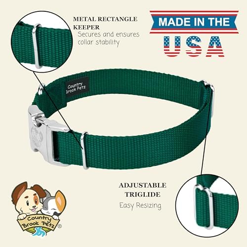 Country Brook Petz - Premium Nylon Dog Collar with Metal Buckle for Small Medium Large Breeds - 30+ Colors (Medium, 3/4 Inch, Green)