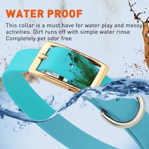 Viper Biothane Heavy Duty Waterproof Dog Collar Strong Coated Nylon Webbing w/Solid Brass Hardware Odor-Proof Easy to Clean High Performance Fits Small Medium or Large Dogs, Sky Blue