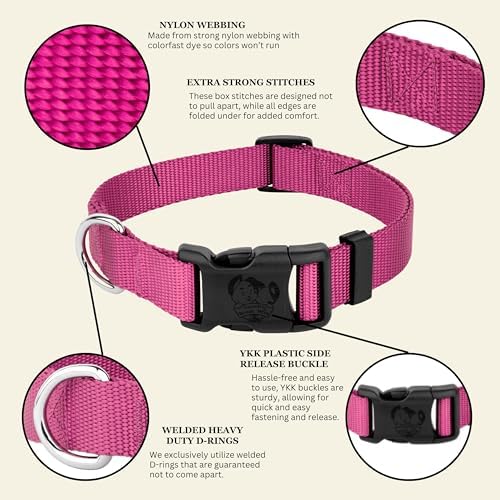 Country Brook Petz - Everyday Nylon Dog Collar for Large, Medium, and Small Dogs and Puppies - for Everyday Use in 30+ Colors (Large, 1 Inch Wide, Rose)