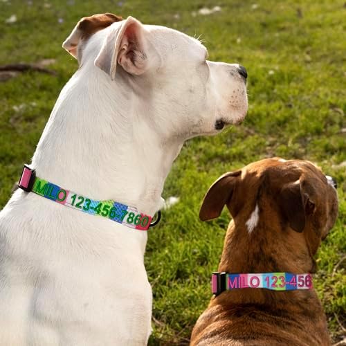 Pawtitas Personalized Dog Collar Medium Dog Collar Embroider Name Phone Number Puppy Collar Adjustable Customized Collar for Medium Dogs Breeds Multicolor Dog Collar
