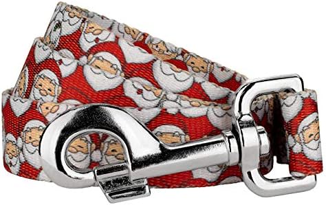 Country Brook Petz - Where's Merry Everyday Dog Leash - Christmas Collection Featuring Festive Designs (4 Foot, 1 Inch Wide)