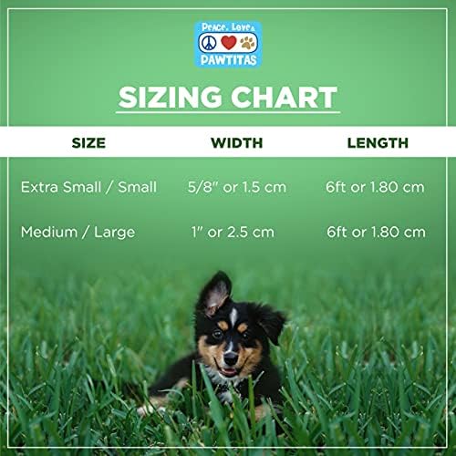Pawtitas Orchid Dog Leash 6 ft XS/S Reflective Durable Lightweight Dog Lead for Small Dogs and Puppies