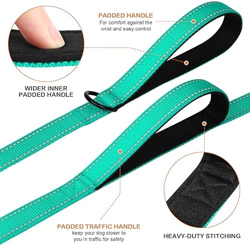 Joytale Dog Leash for Large Dogs that Pull, Double Handle, 6FT, Teal