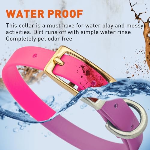 Viper Biothane Heavy Duty Waterproof Dog Collar Strong Coated Nylon Webbing w/Solid Brass Hardware Odor-Proof Easy to Clean High Performance Fits Small Medium or Large Dogs, Passionfruit Pink