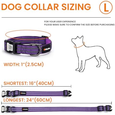Personalized Dog Collar with QR Code Dog Tag, Purple L