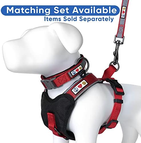 Pawtitas 6 FT Padded Dog Leash with Comfortable Neoprene Padding Handle - Red Lead | Medium Reflective Dog Leash with Highly Reflective Band Perfect for Medium and Large Dogs and Puppies.