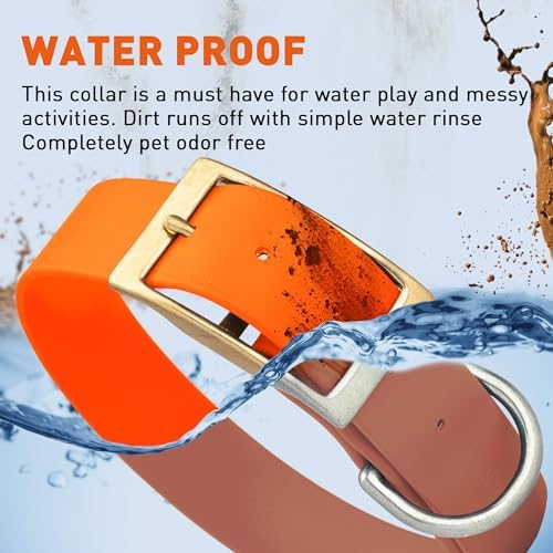 Viper Biothane Heavy Duty Waterproof Dog Collar Strong Coated Nylon Webbing w/Solid Brass Hardware Odor-Proof Easy to Clean High Performance Fits Small Medium or Large Dogs, Hunter Orange