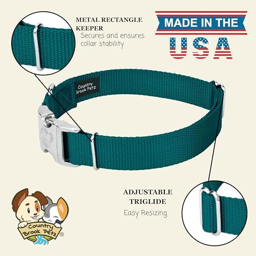 Country Brook Petz - Premium Nylon Dog Collar with Metal Buckle for Small Medium Large Breeds - 30+ Colors (Medium, 3/4 Inch, Teal)