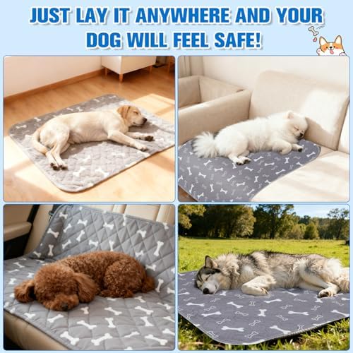 2 Pack Puppy Pee Pads with Pheromones, Washable Puppy Pads for Dogs,Leak-Proof & Anti-Slip,Reusable Absorbent Dog Training Pad for for Playpen,Whelping Box,Potty Training(15.7" × 23.6")