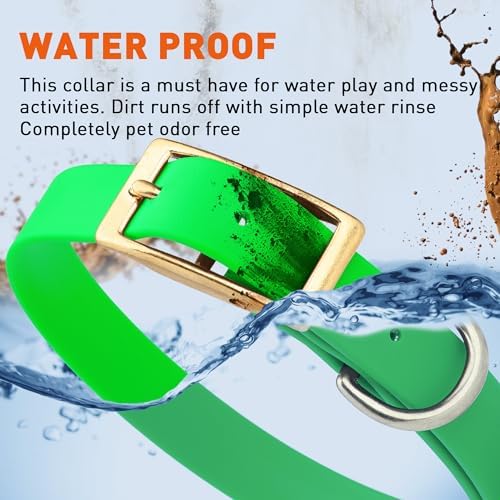 Viper Biothane Heavy Duty Waterproof Dog Collar Strong Coated Nylon Webbing w/Solid Brass Hardware Odor-Proof Easy to Clean High Performance Fits Small Medium or Large Dogs, Tropical Green