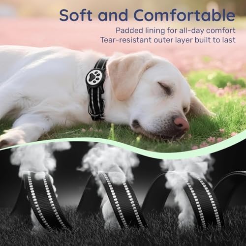 Premium Airtag Dog Collar，with IP68 Waterproof AirTag Holder,Black,XL