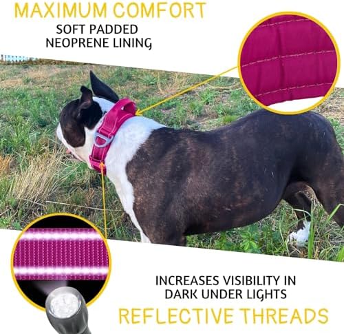ADITYNA Heavy Duty Dog Collar for Large Dogs with Traffic Handle