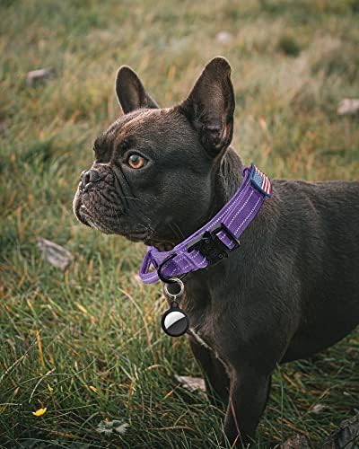 AUBELL Reflective Tactical Heavy Duty Dog Collar with Handle,Purple L