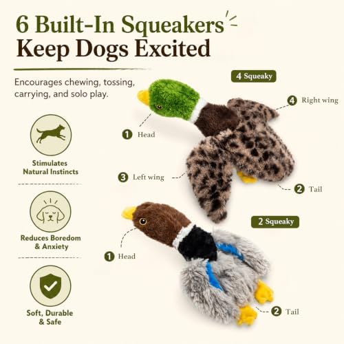 Stuffing-Free Duck Dog Toys, 2 Pack Plush Squeaky Toys with 6 Total Squeakers for Small Medium Dogs, Hollow Body Toys for Interactive Play