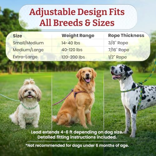 Harness Lead No Pull Dog Harness and Leash Set, Anti Pull Dog Harness, One-Piece Cushioned Rope Safely Prevents Escaping and Pulling (Small/Medium, Reef)