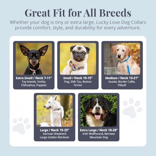 Lucky Love Dog Collar for Small Dogs Cute Adjustable Soft – Hana, Small